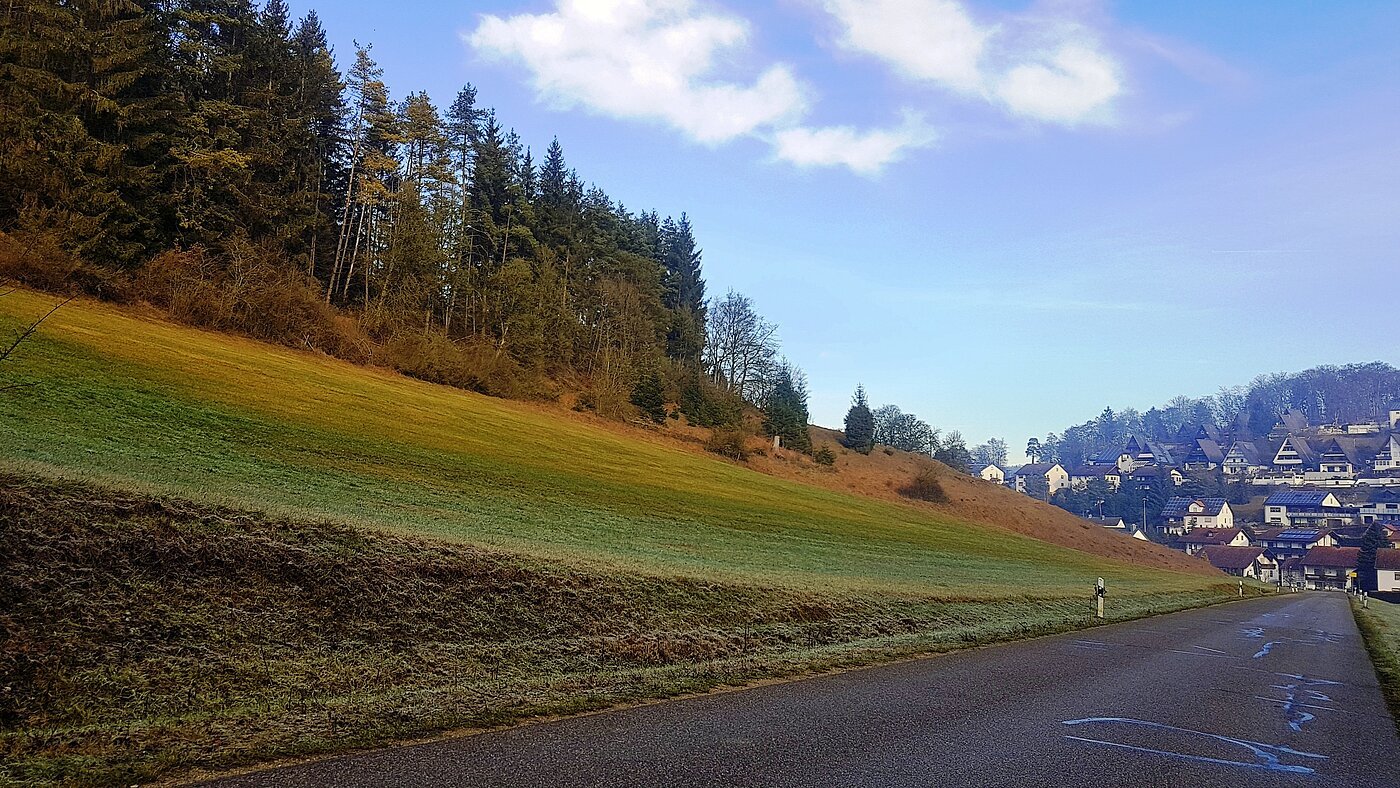 Bild Baugebiet Tagmersheimer Straße