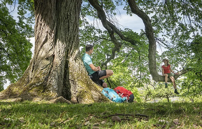 Mann sitzt am Baumstamm, Frau sitzt auf Ast, zwei Rucksäcke liegen auf Gras unter Baum.